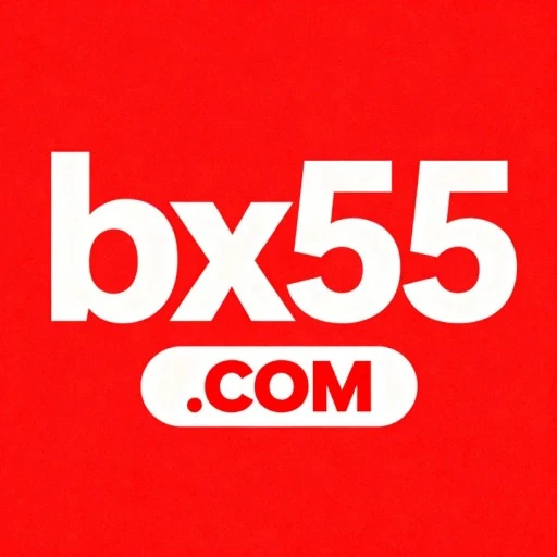 bx55.com